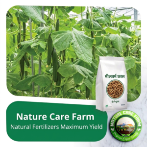 Mealworms frass 